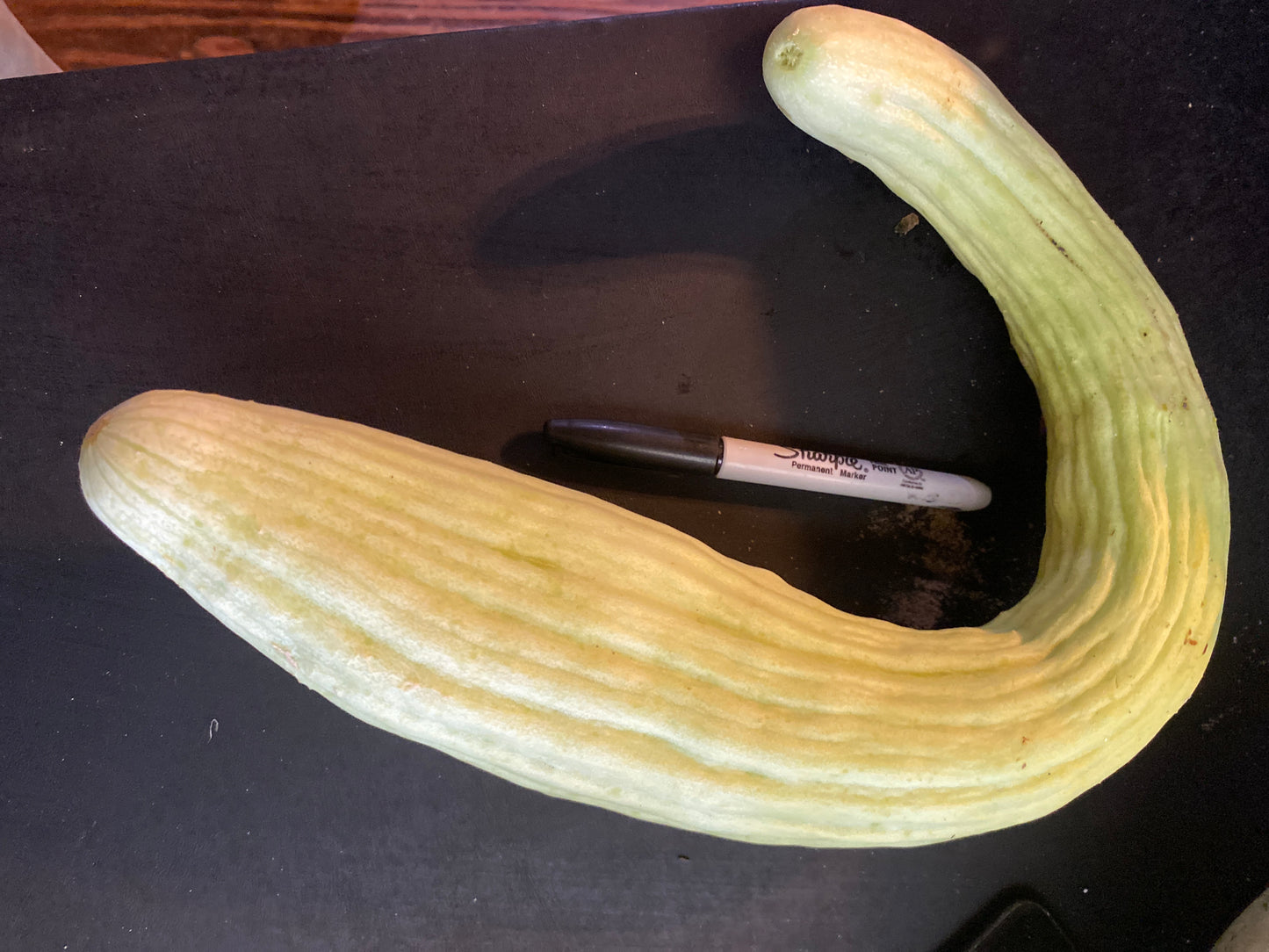 Cucumber, Armenian, each