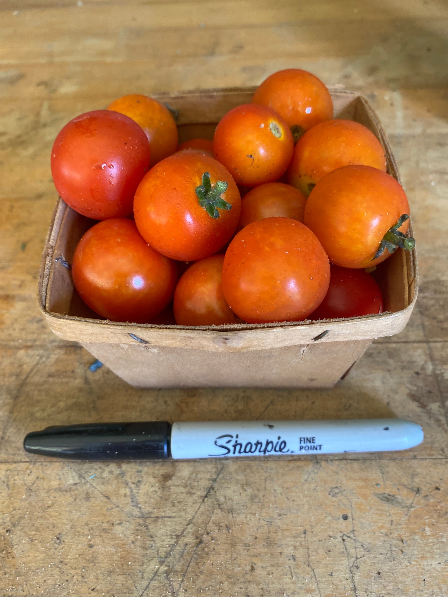 Tomatoes, ‘Husky Red Cherry’