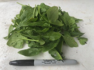 Spinach, bagged, 7 oz