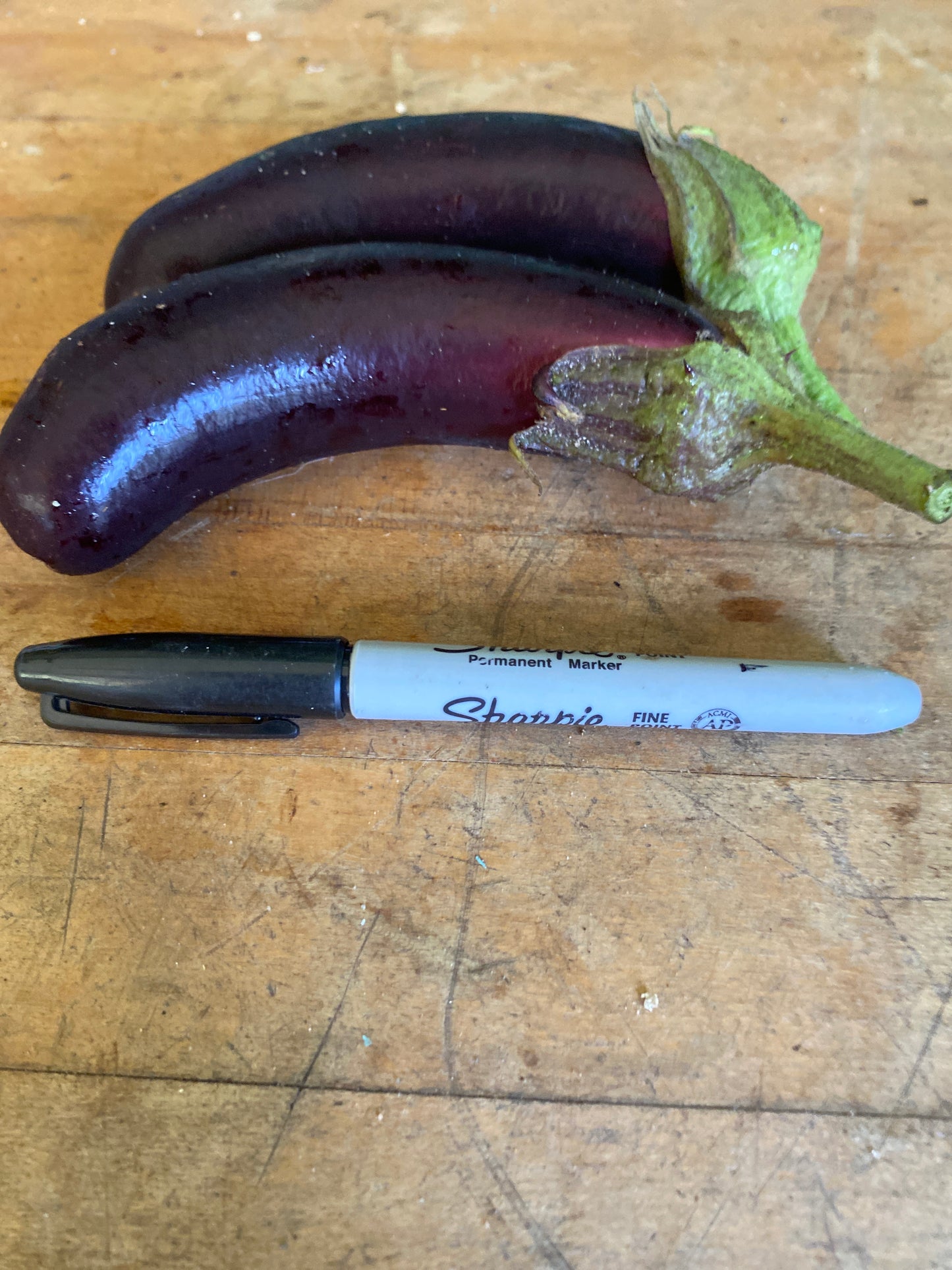 Eggplant, ‘Slim Purple’ (2)
