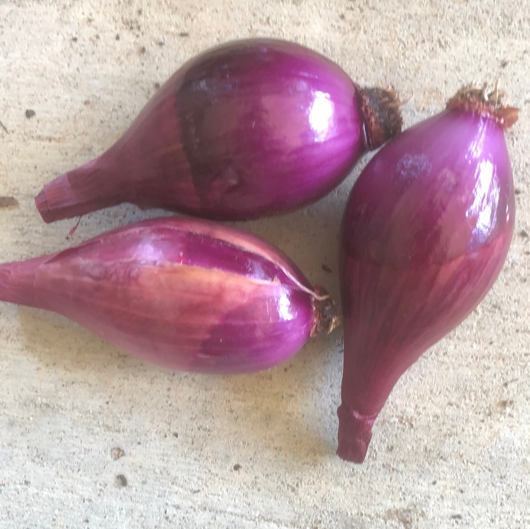 Onion, red (3)