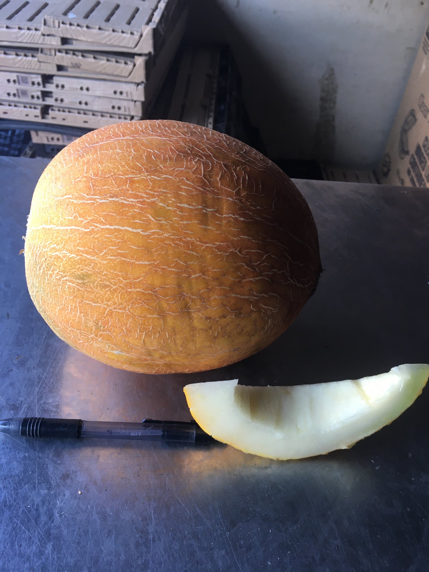 Cantaloupe, Israeli