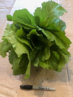 Greens - Mustard