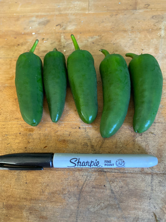 Jalapenos (5)