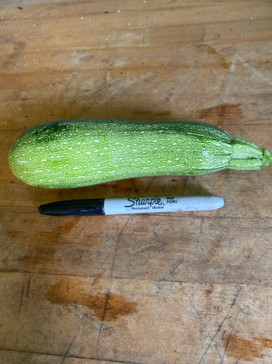 Squash, Zucchini, Grey