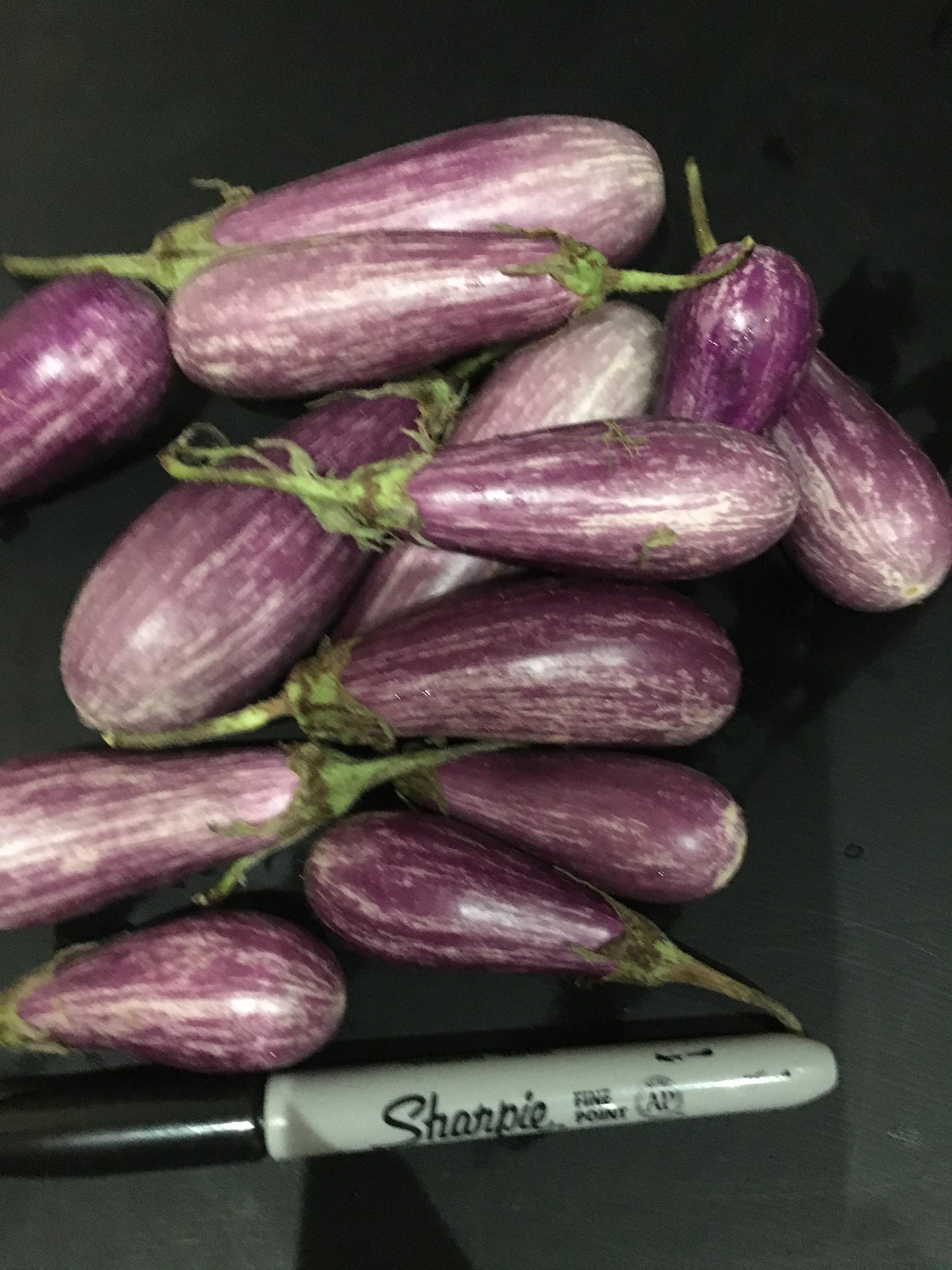 Eggplant, Mini 'Fairytale' about 10 oz