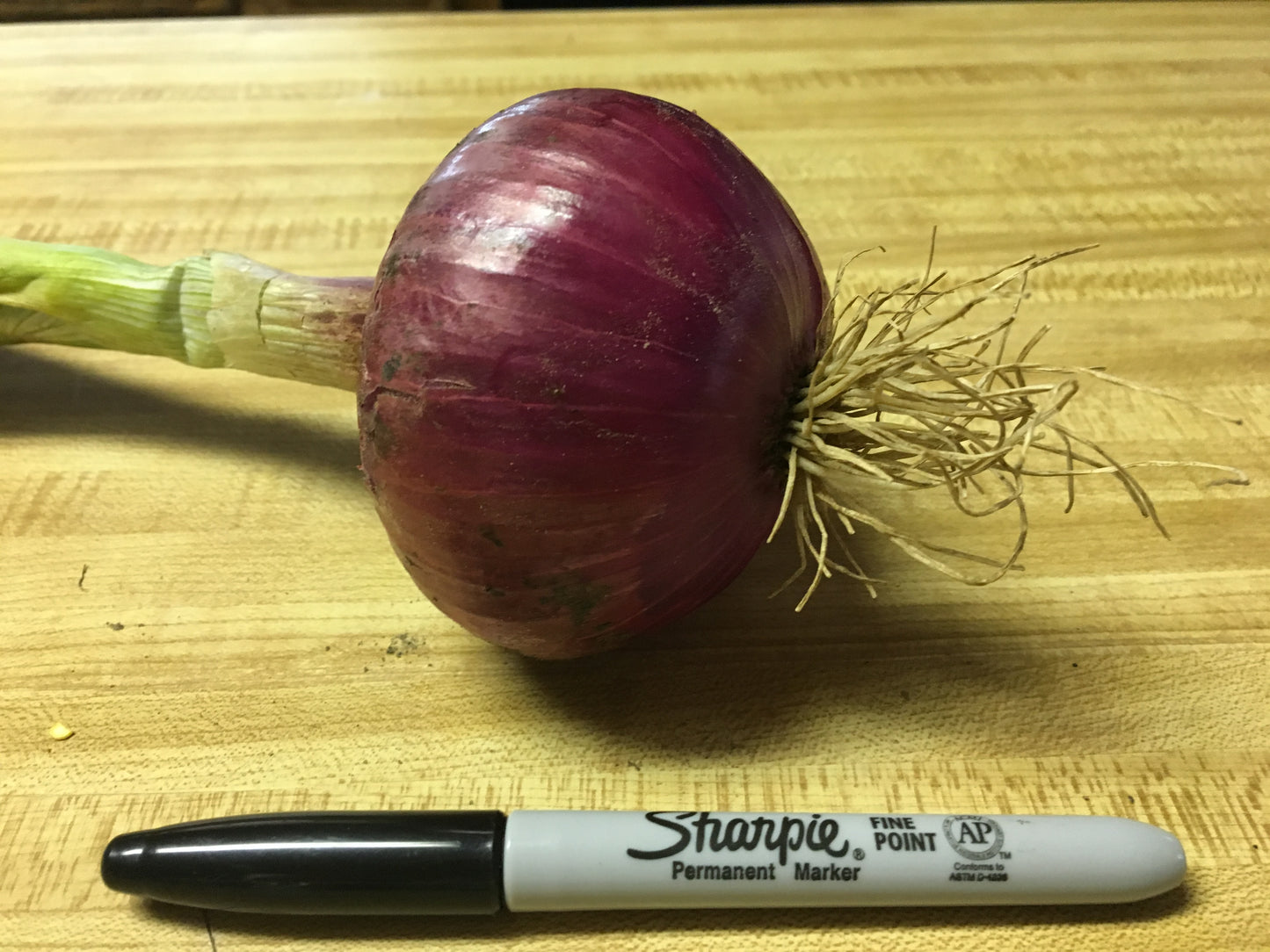 Onion,  red, large