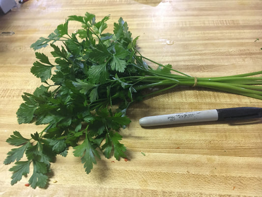 Parsley, Italian Flat Leaf