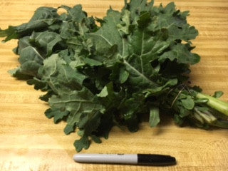Kale, 'White Russian'